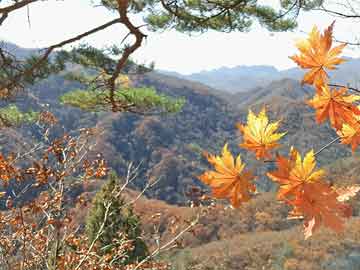 武威50岁吃打胎药能行吗（50岁打胎危险吗）
